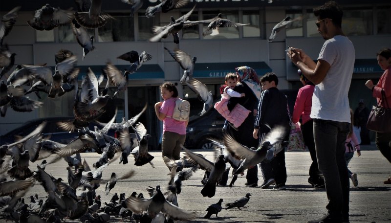 fifaonline4厄齐尔咋样_英超球员厄齐尔 - 体育赛事直播