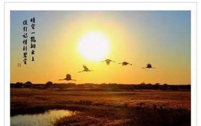 cctv5卡塔尔世界杯主持人_女足世界杯,央视直播,临近比赛开始,有世界杯官方标的音乐叫啥 - 体育赛事直播