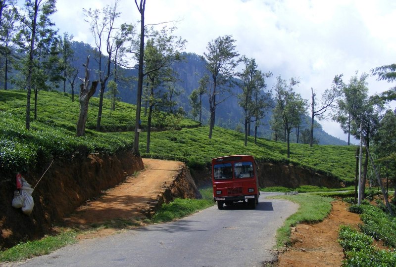 开平塘口镇旅游攻略 - 体育赛事直播
