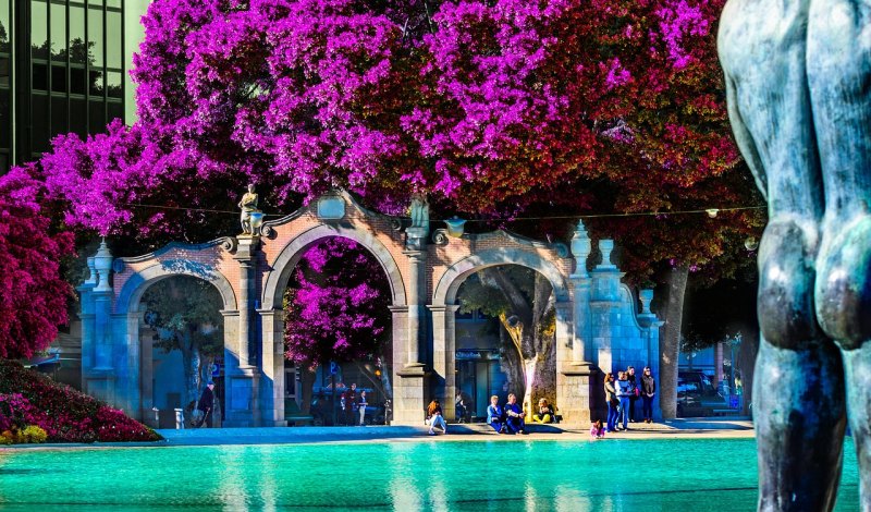 明星大侦探足球是哪一季哪一期 - 体育赛事直播