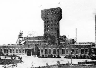 怎样通过生活的潜移默化对孩子进行自然教育 - 体育赛事直播