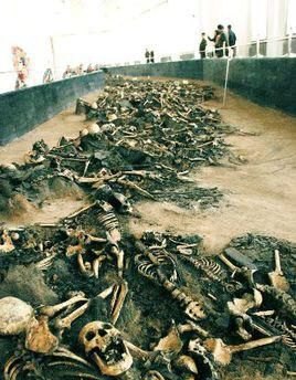 怎样通过生活的潜移默化对孩子进行自然教育 - 体育赛事直播