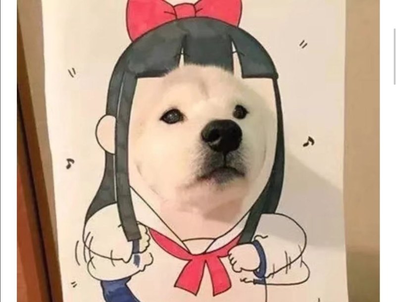 谷爱凌夺冠,带给我们什么启示 - 体育赛事直播