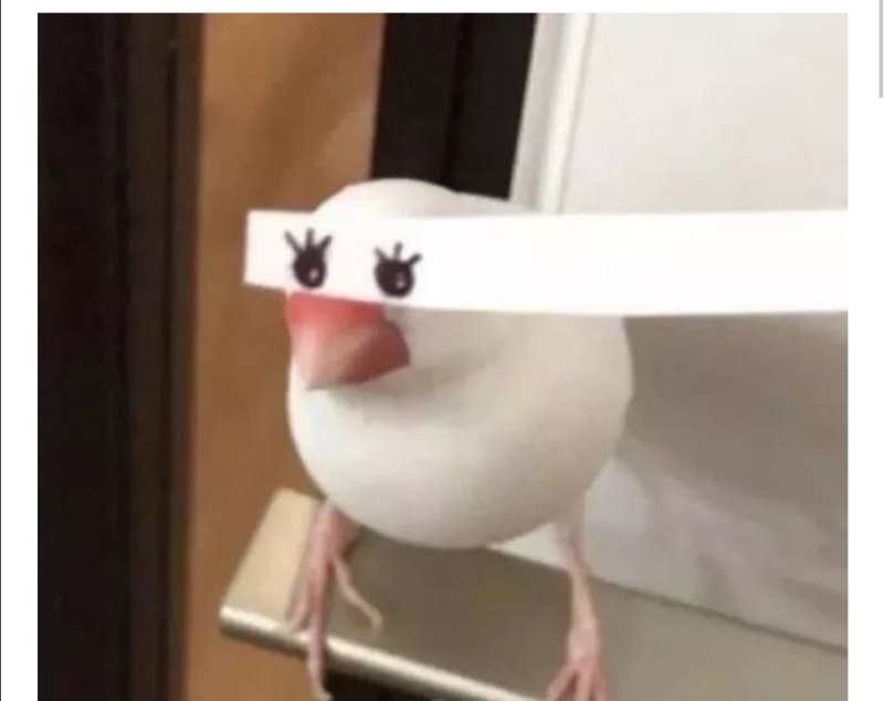 谷爱凌夺冠,带给我们什么启示 - 体育赛事直播