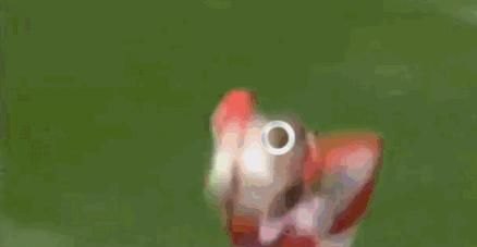 足球掷弹兵是什么意思 - 体育赛事直播