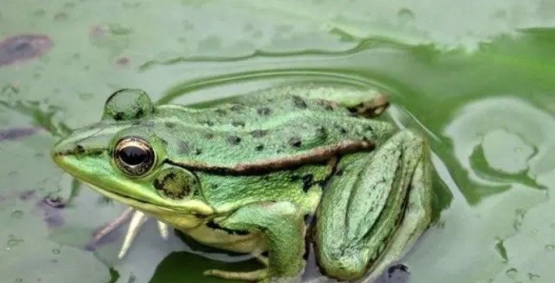 安庆市太湖县国家4A级风景区花亭湖怎么样 - 体育赛事直播