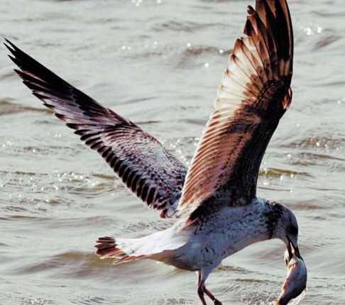 安庆市太湖县国家4A级风景区花亭湖怎么样 - 体育赛事直播