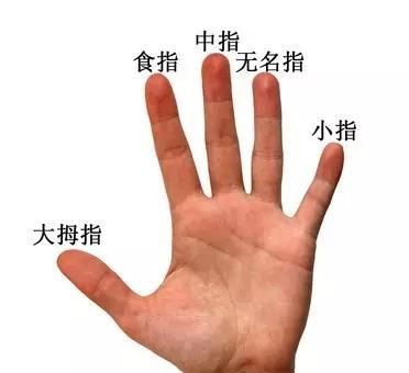 WTT澳门冠军赛,宣传海报为什么C位仍然是马龙和陈梦 - 体育赛事直播