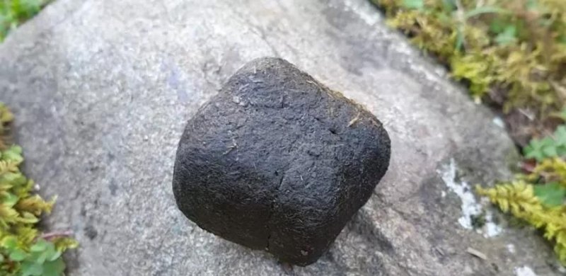 WTT澳门冠军赛,宣传海报为什么C位仍然是马龙和陈梦 - 体育赛事直播