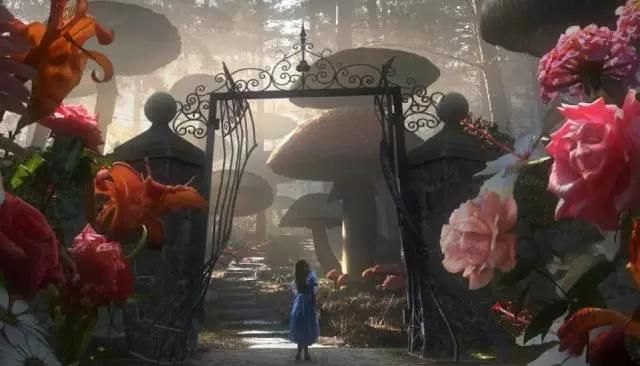 WTT澳门冠军赛,宣传海报为什么C位仍然是马龙和陈梦 - 体育赛事直播