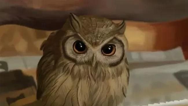 WTT澳门冠军赛,宣传海报为什么C位仍然是马龙和陈梦 - 体育赛事直播