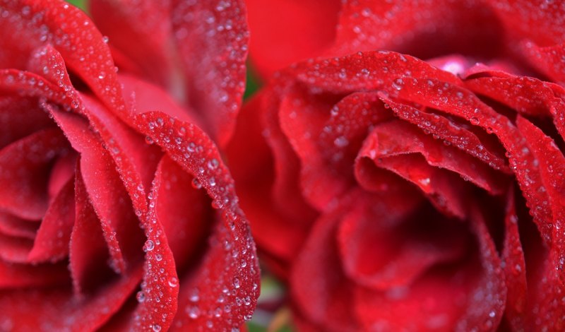 看球赛时发朋友圈的句子 - 体育赛事直播