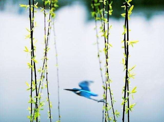 小学生爱玩水怎么办 小学生爱玩水怎么办 - 体育赛事直播