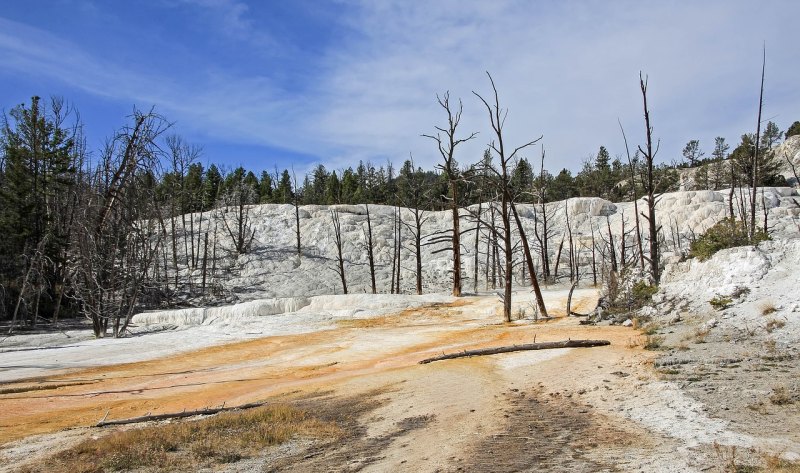 葛曼棋什么水平 葛曼棋什么水平 - 体育赛事直播