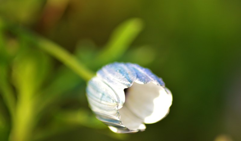 亚洲杯 新西兰 亚洲杯 新西兰 - 体育赛事直播