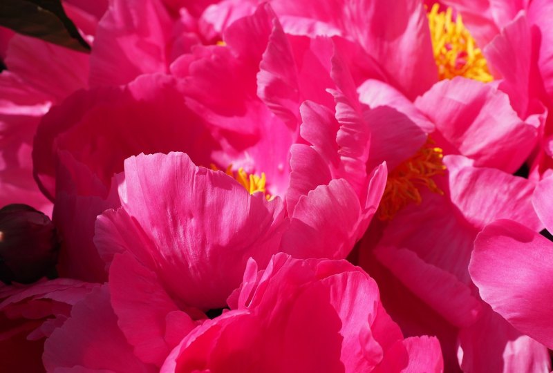 梅西四届世界杯成绩 梅西四届世界杯成绩 - 体育赛事直播