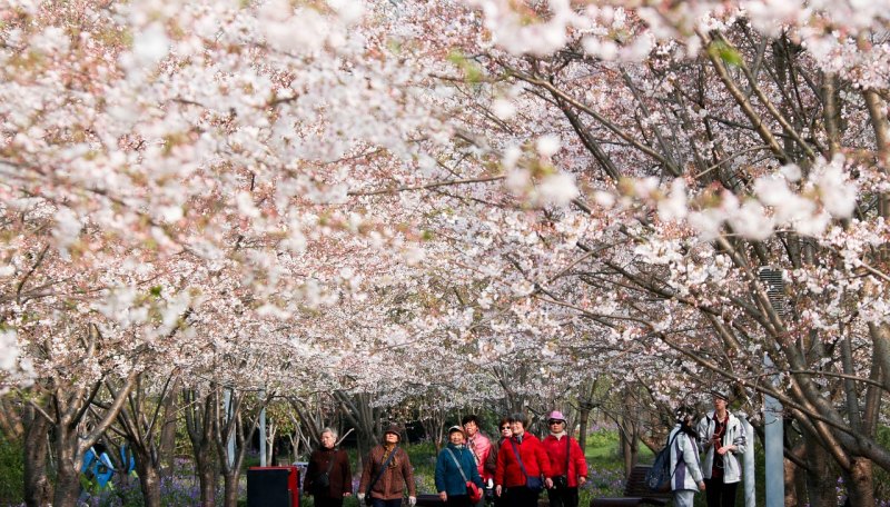 世界田径接力赛纪录是多少秒 世界田径接力赛纪录是多少秒 - 体育赛事直播