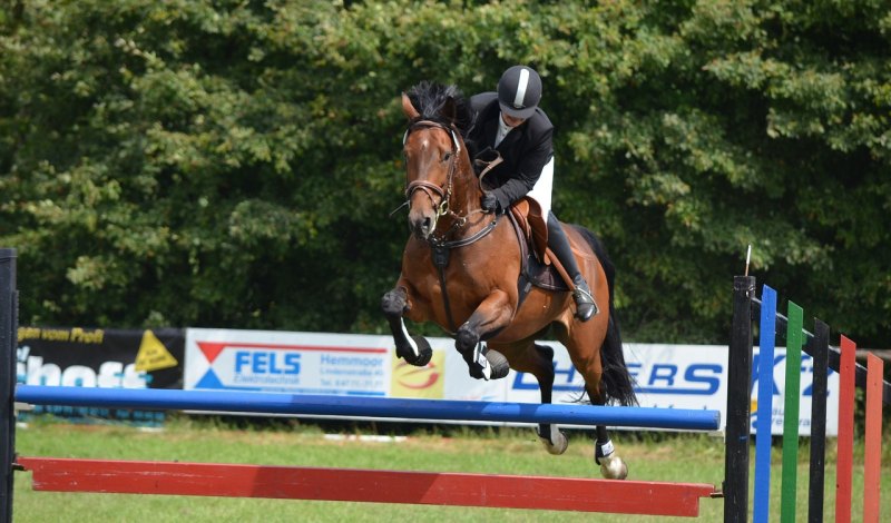 2021福建游泳锦标赛结果 2021福建游泳锦标赛结果 - 体育赛事直播