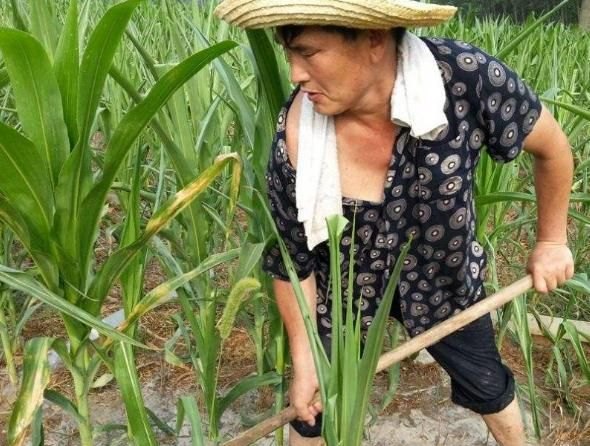 2022单县一中男子排球队 2022单县一中男子排球队 - 体育赛事直播