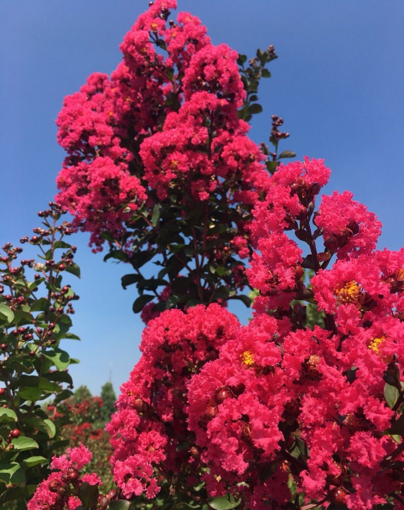 青州游泳最新消息新闻报道 青州游泳最新消息新闻报道 - 体育赛事直播