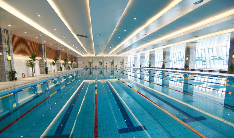 十五米游泳池里的梦想 十五米游泳池里的梦想 - 体育赛事直播